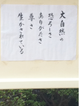 image-20111013083151.png