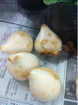 image-20111028130248.png