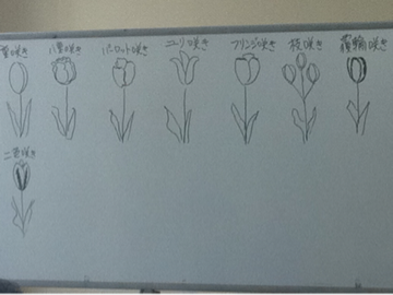 image-20111028130354.png