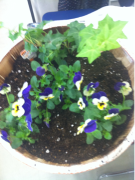 image-20111028131624.png