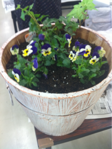 image-20111028132120.png