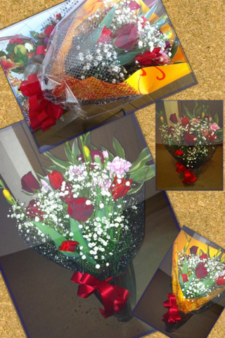 image-20111226110544.png